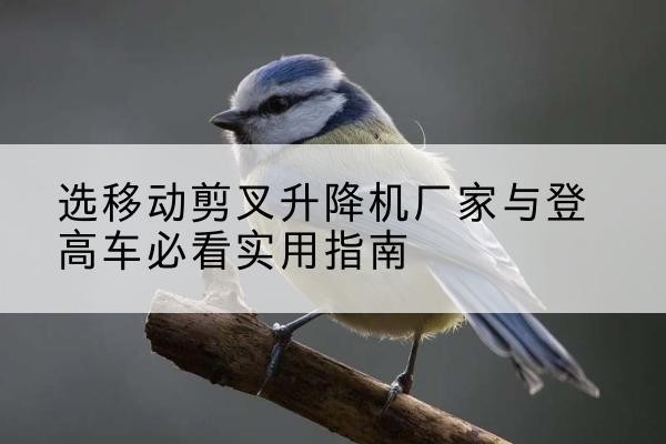 神池电动升降机厂家-选移动剪叉升降机厂家与登高车必看实用指南