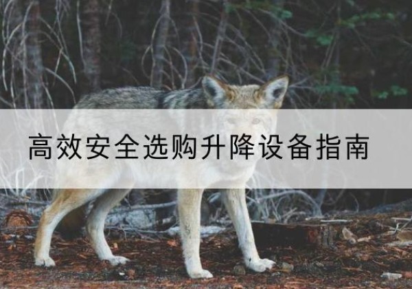 神池升降货梯厂家推荐-*安全选购升降设备指南